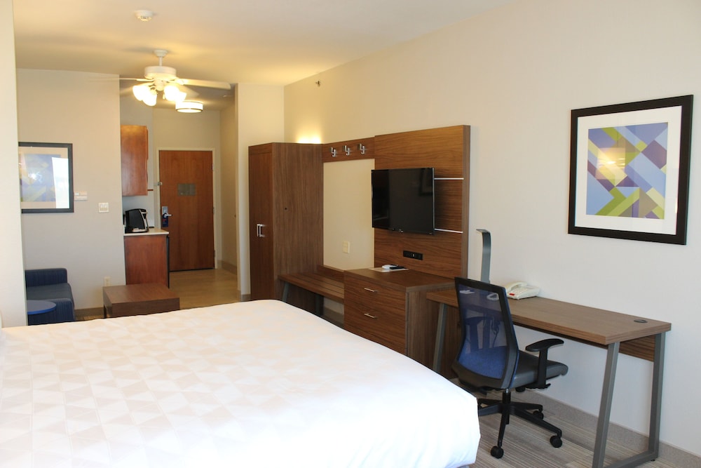 Suite, 1 King Bed with Sofa bed, Accessible, Non Smoking (Mobility) - Photo 1