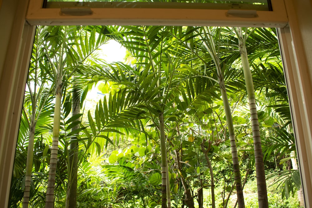 Garden Level Queen Bed photo 3