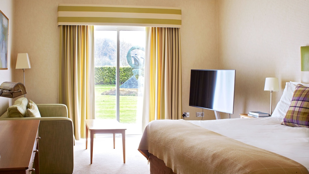 Suite - Photo 3