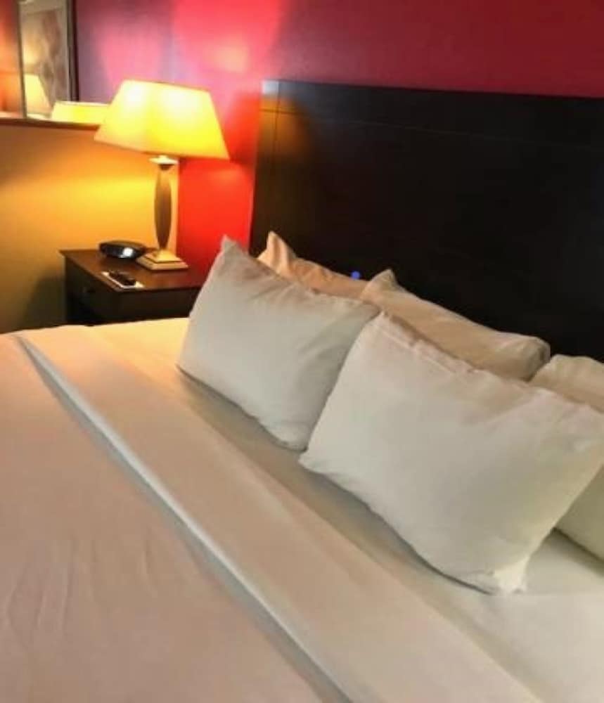 Business Suite, 1 King Bed with Sofa bed, Non Smoking
