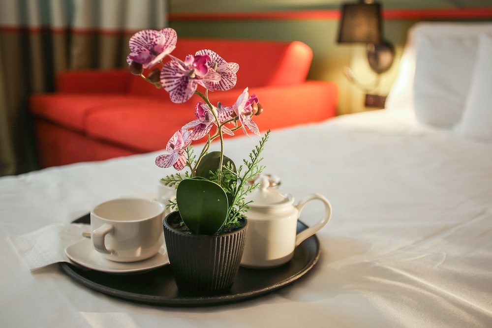 Standard Room, 1 Queen Bed with Sofa bed photo 3