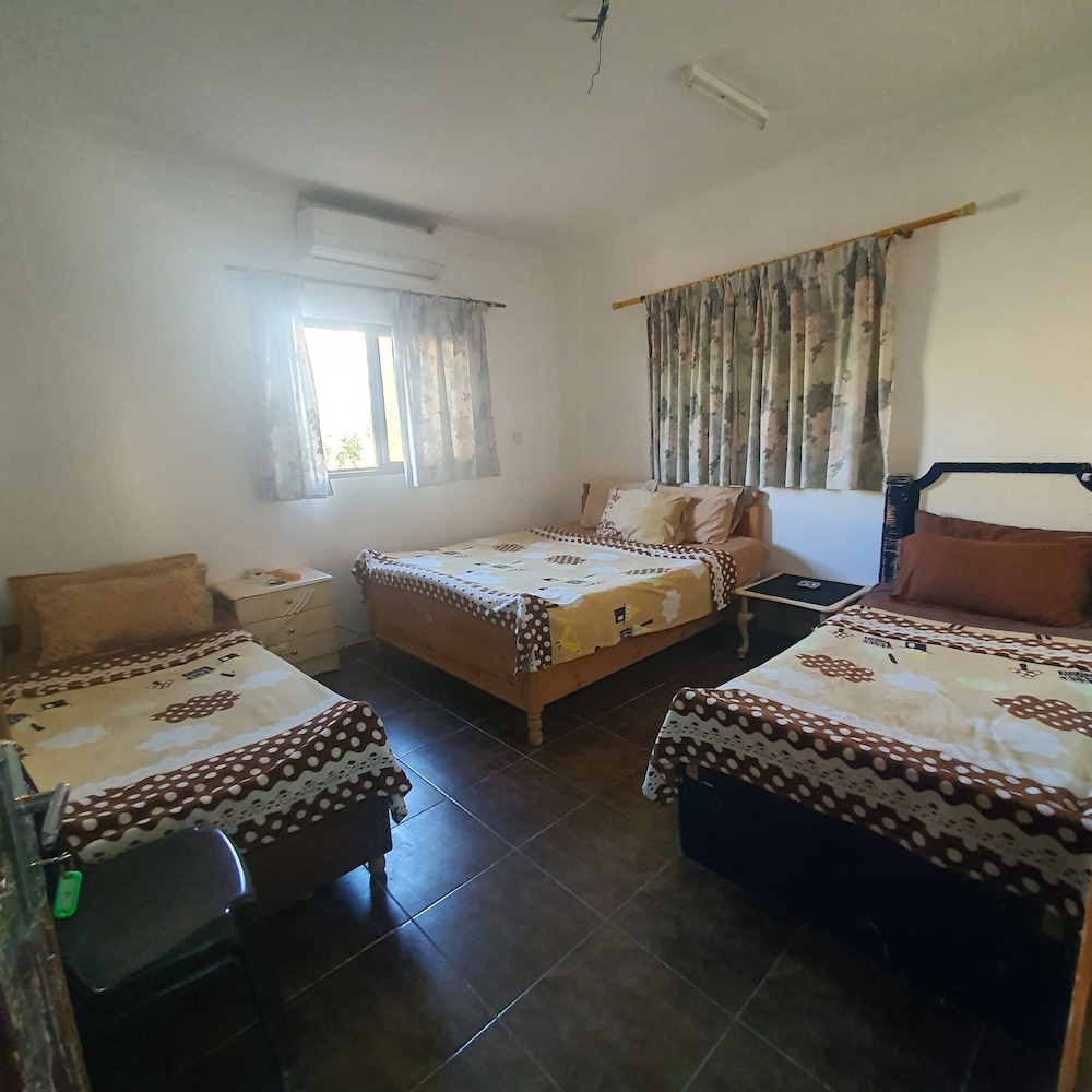 Basic Shared Dormitory photo 1
