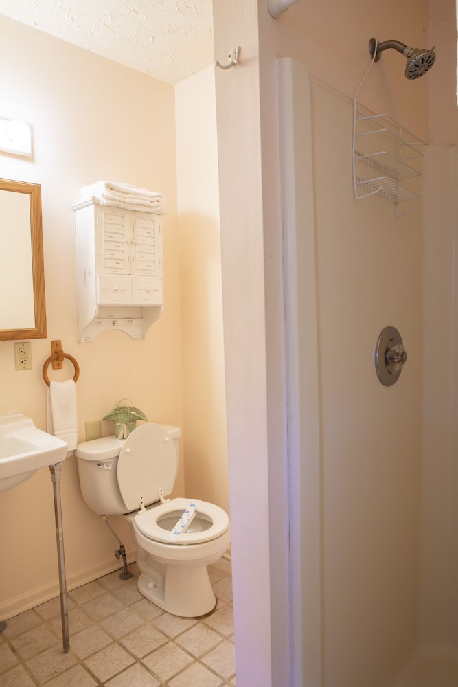 Lady Bug Romantic Studio Suite, 1 Bedroom, Mountain View photo 3