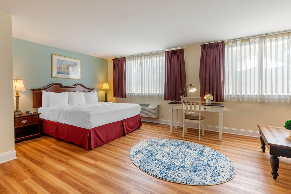 Premier Room, 1 King Bed, Accessible photo 1