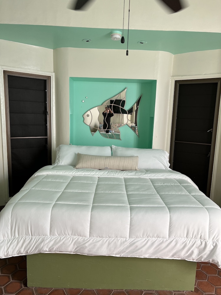 Dolphin Ocean View photo 2