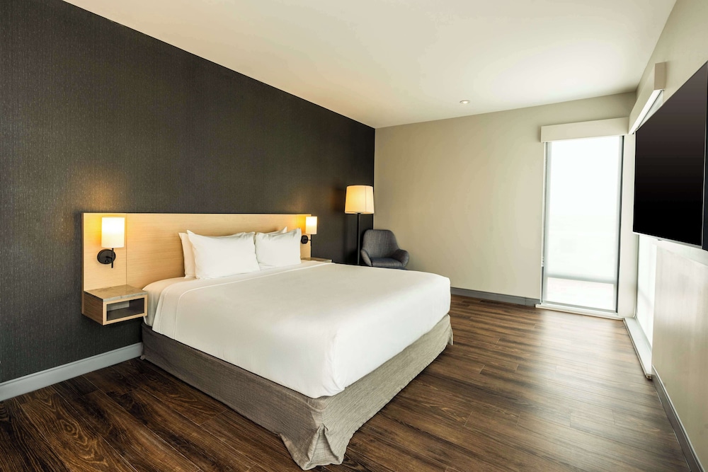 Suite, 1 King Bed with Sofa bed photo 2