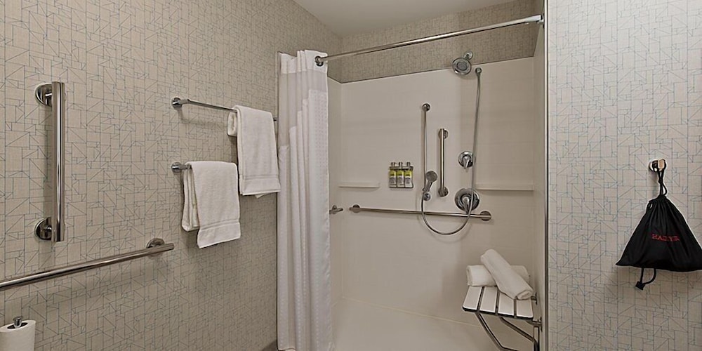 Suite, 1 King Bed with Sofa bed