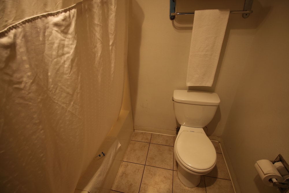 Basic Single Room photo 2