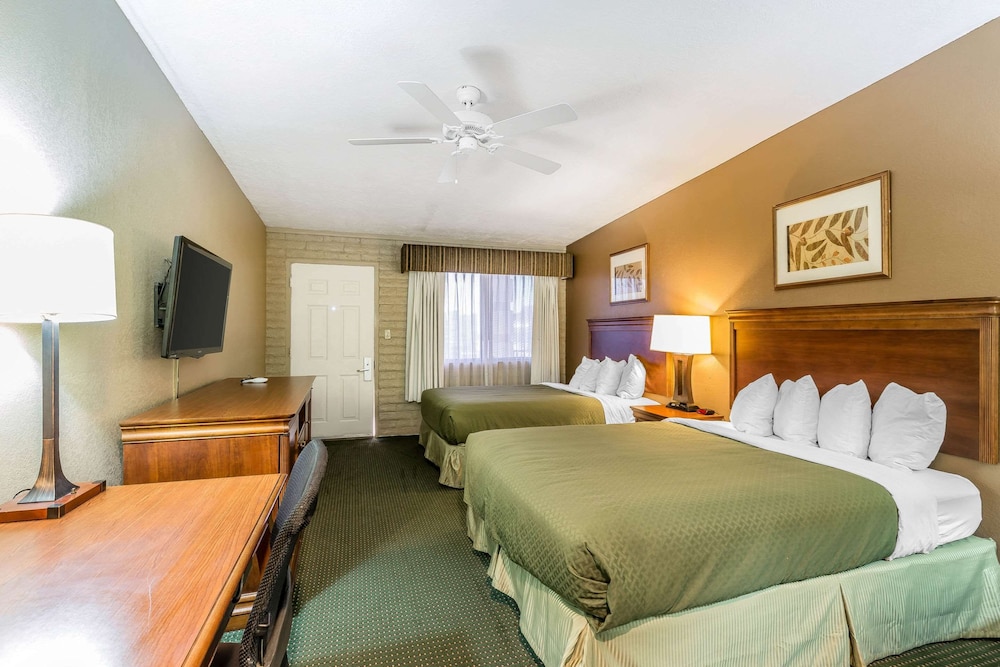 Standard Room, 2 Queen Beds, Mountain View photo 1