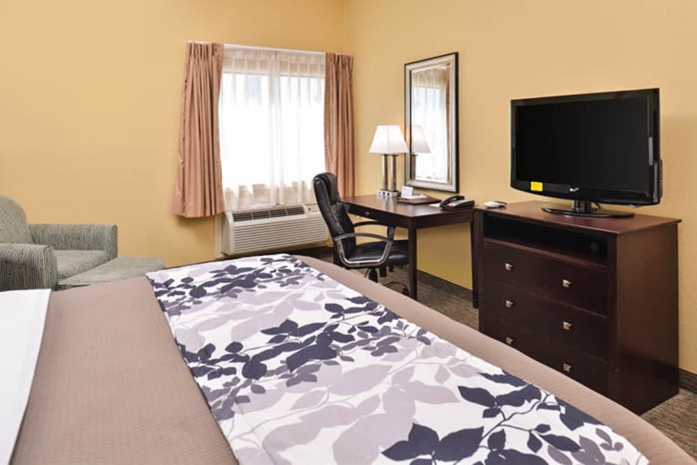 Room, 1 King Bed, Accessible, Non Smoking - Photo 2