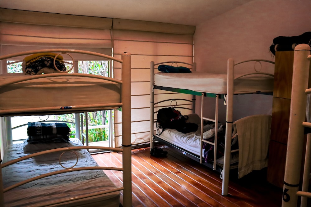 Basic Shared Dormitory, Men only photo 1