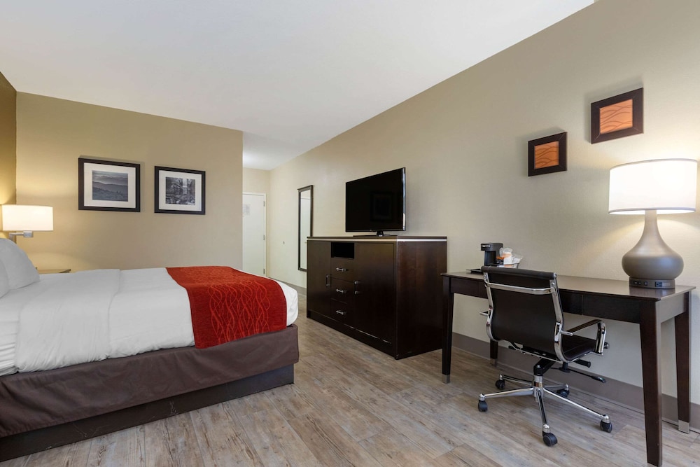 Standard Room, 1 King Bed, Non Smoking - Photo 9