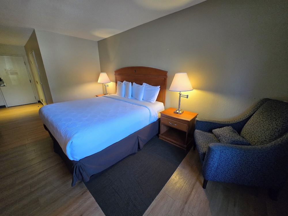 Deluxe Single Room, 1 King Bed photo 2