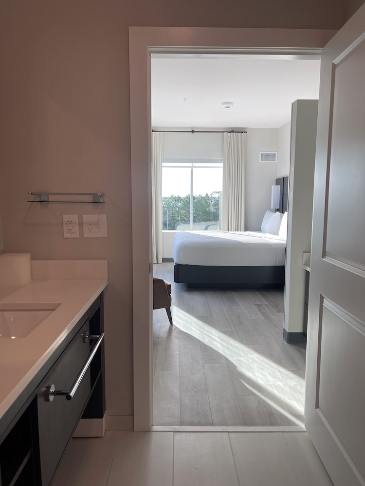 Studio, 1 King Bed