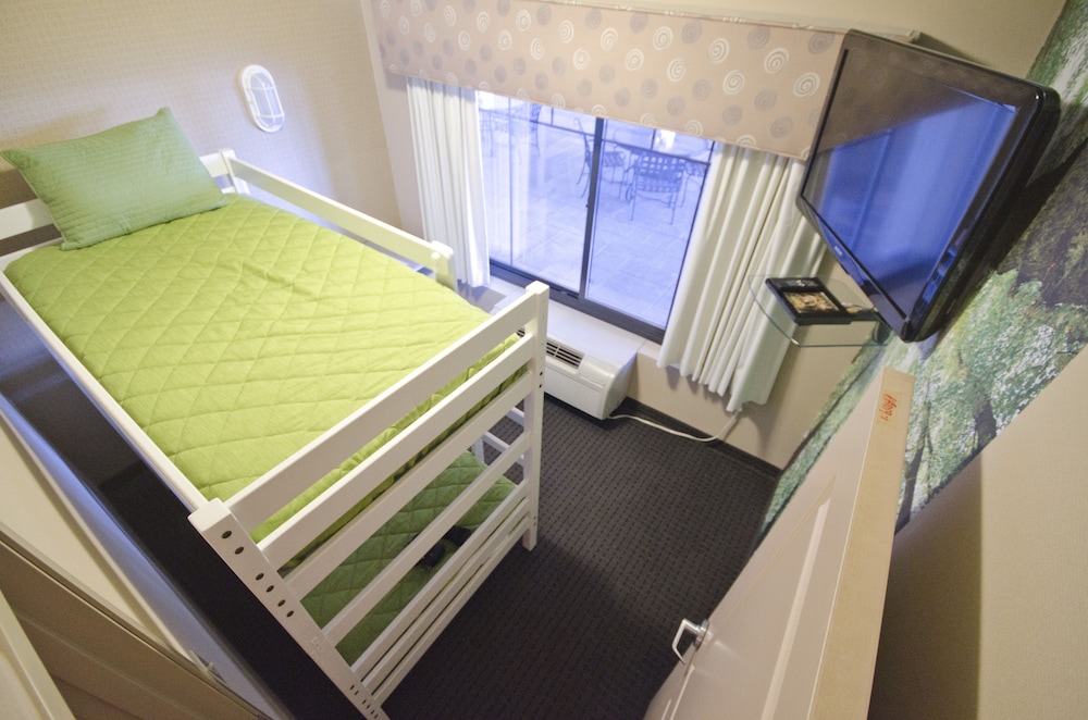 Suite, 1 Bedroom photo 2