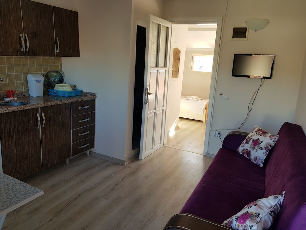 Apartment (Penthouse)