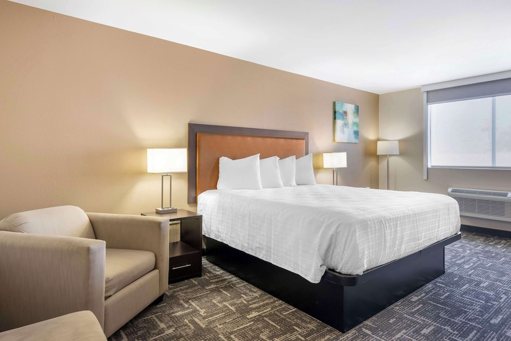 Standard Room, 1 King Bed, Accessible, Smoking photo 1