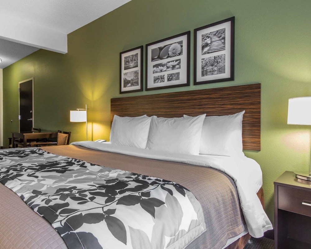 Suite, 1 King Bed - Photo 2