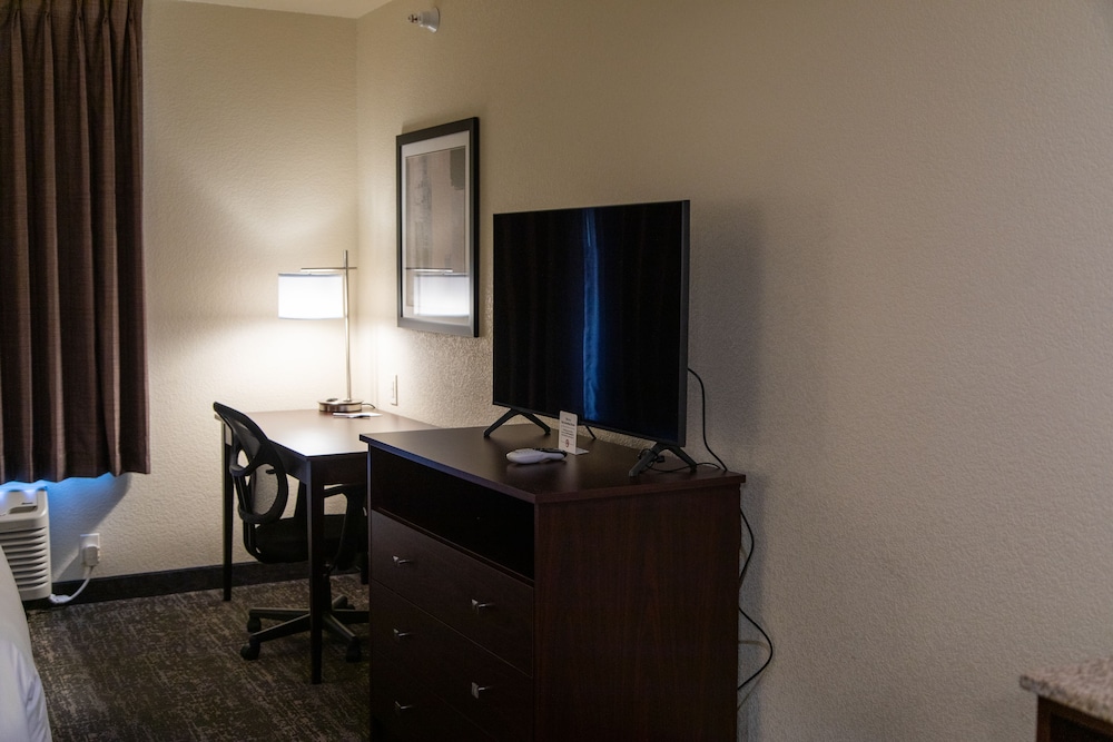 Room, 1 King Bed, Non Smoking (Guestroom Audible/Visual Alert) - Photo 3
