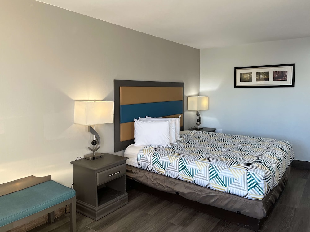 Deluxe Room, 1 King Bed, Smoking, Refrigerator & Microwave