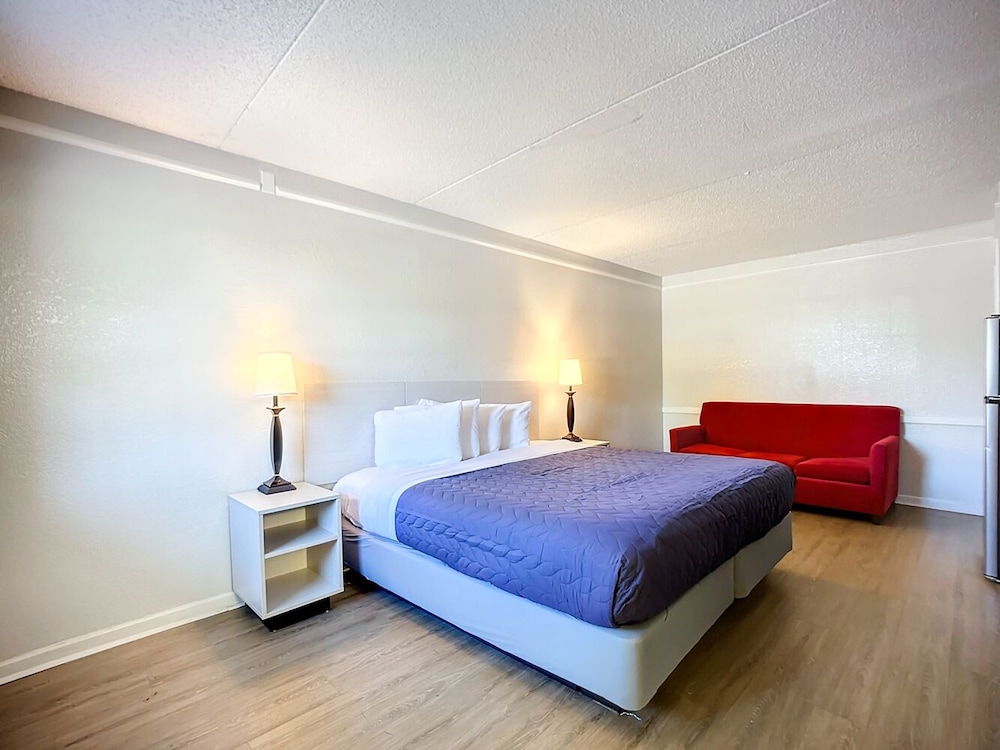 Room, 1 King Bed with Sofa bed photo 3