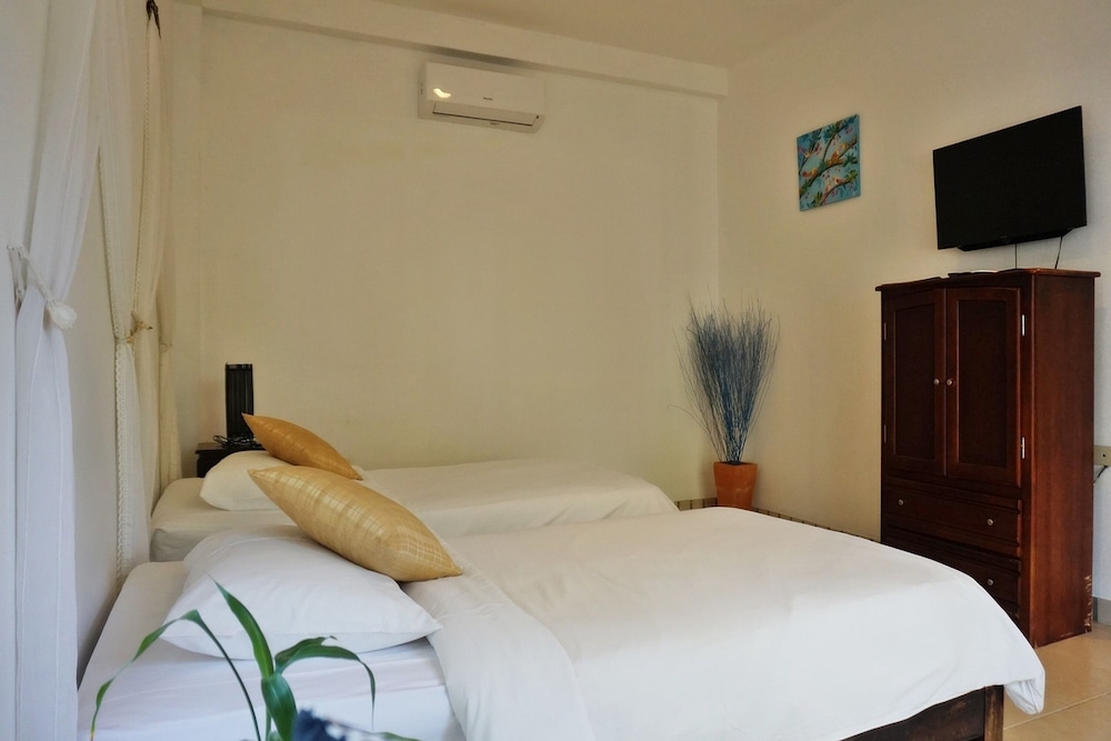 Basic Room - Photo 4