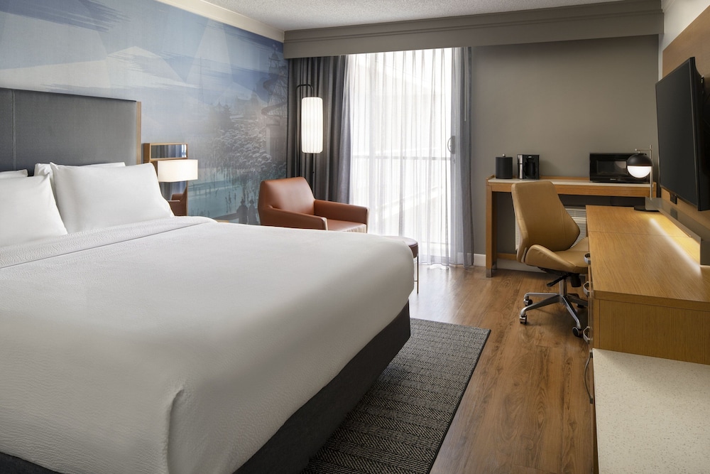 Room, 1 King Bed (Mobility/Hearing Access, Roll-In Shwr) photo 3