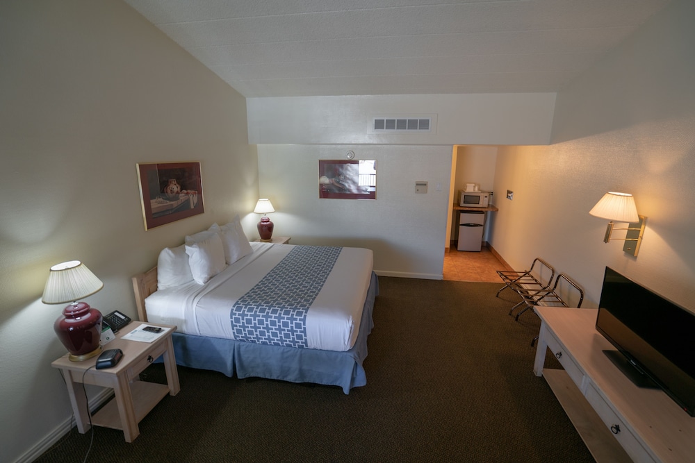 Standard Double Room, 1 King Bed, Non Smoking photo 1