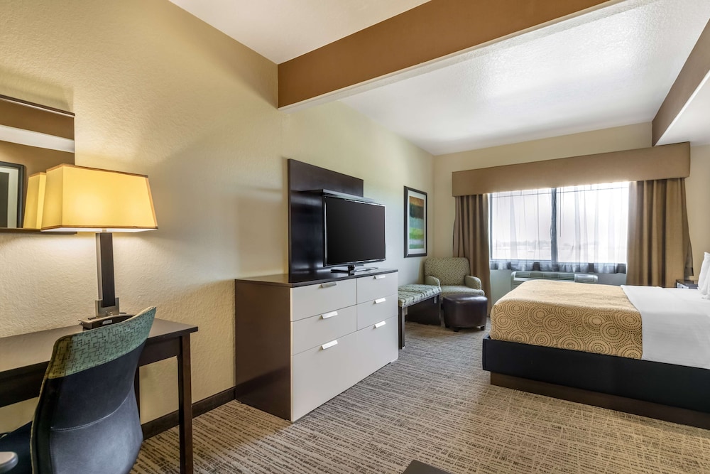 Suite, 1 King Bed with Sofa bed, Accessible, Kitchen (with Sofabed)