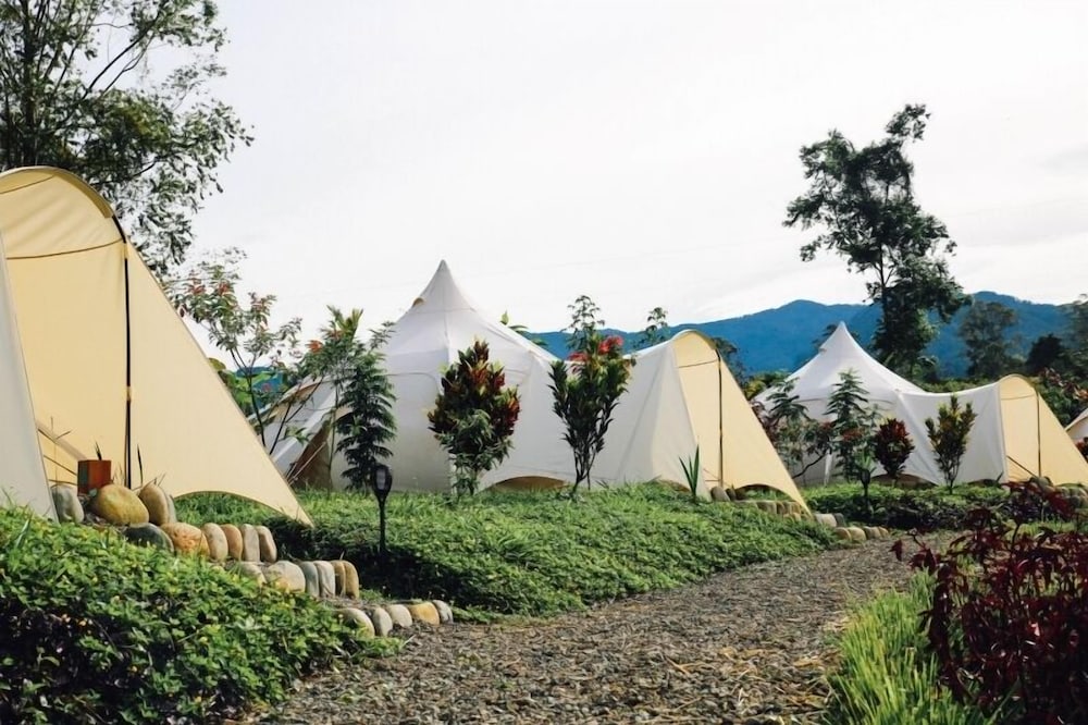 Signature Lotus Belle Tent Two Twin Beds photo 2
