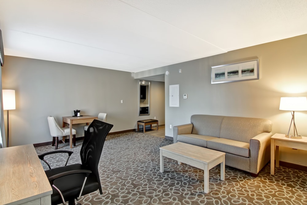 Suite, 1 King Bed with Sofa bed photo 3