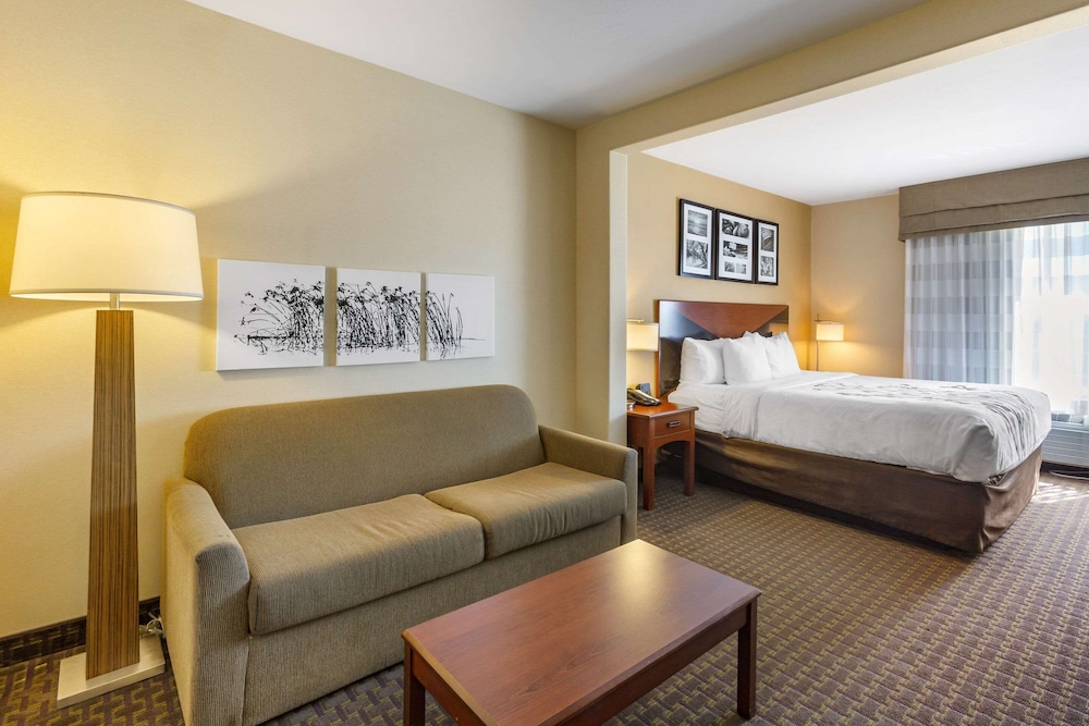Suite, 1 King Bed With Sofa Bed, Non Smoking