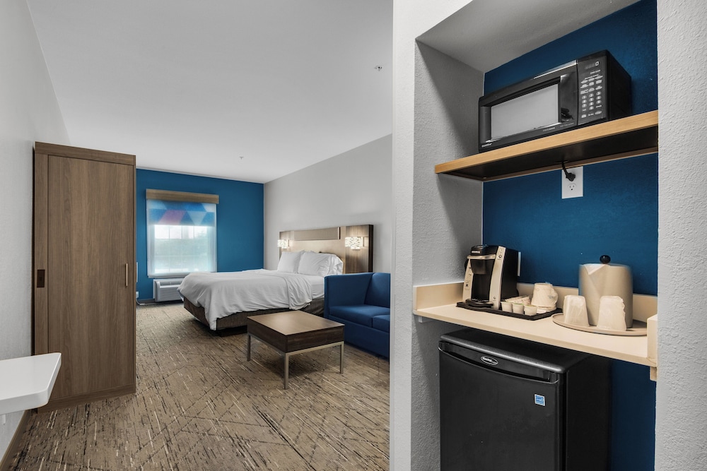 Suite, 1 King Bed, Accessible (Communications Accessible) - Photo 14
