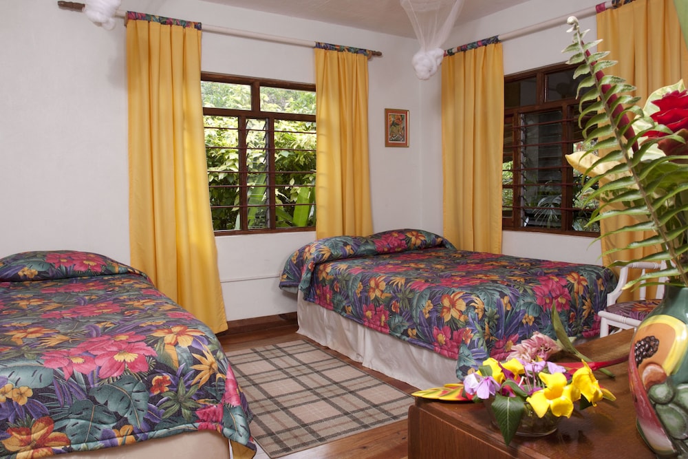 Standard Room, Balcony, Mountain View photo 3