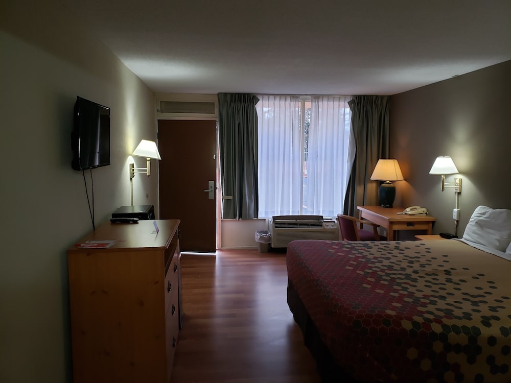 Deluxe Single Room photo 2