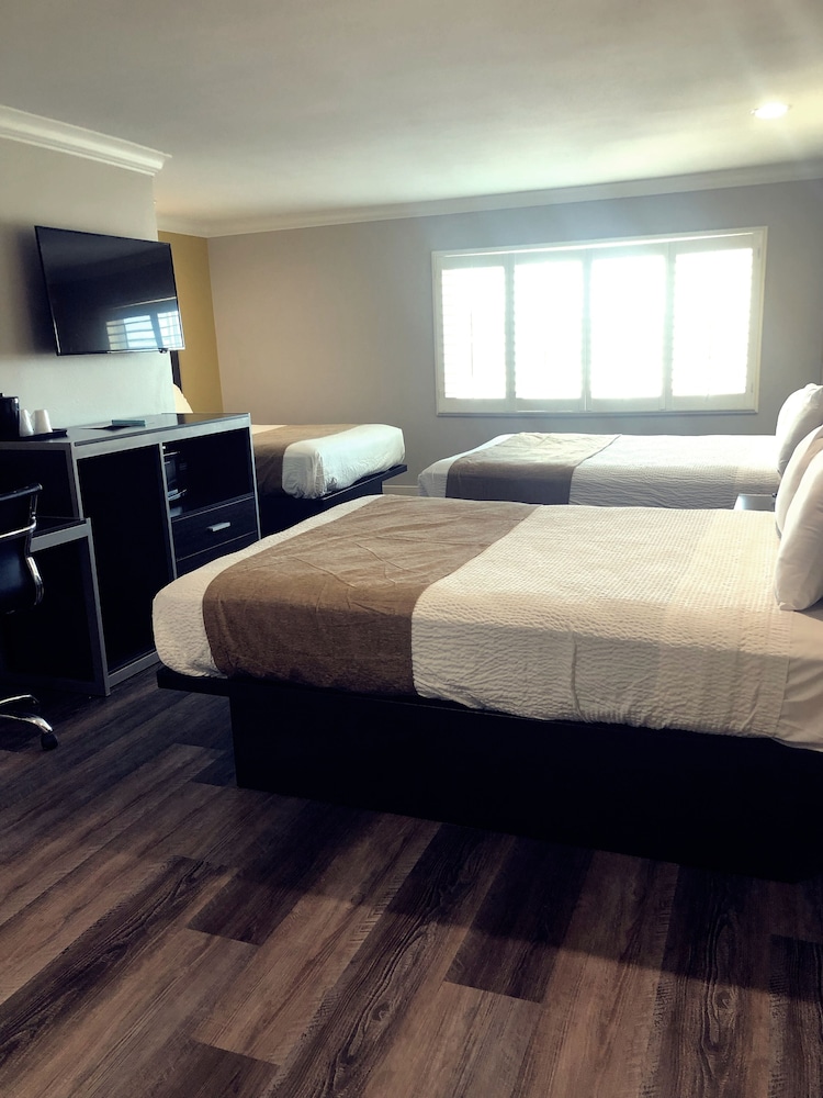 Room, Multiple Beds