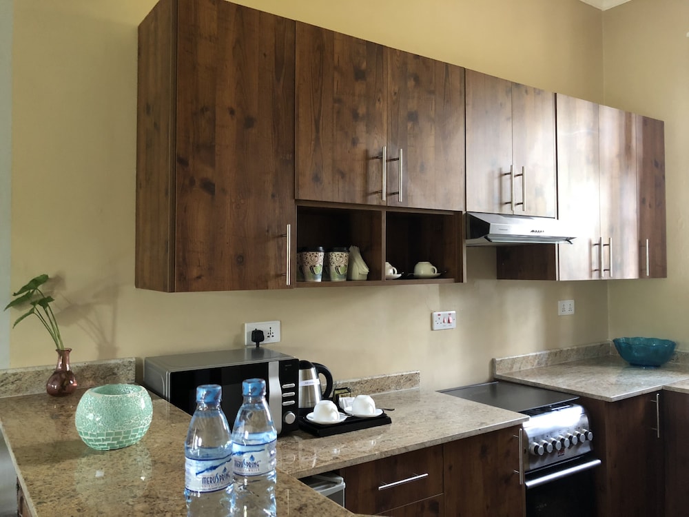 Executive Suite, 1 Bedroom, Kitchen, Mountain View