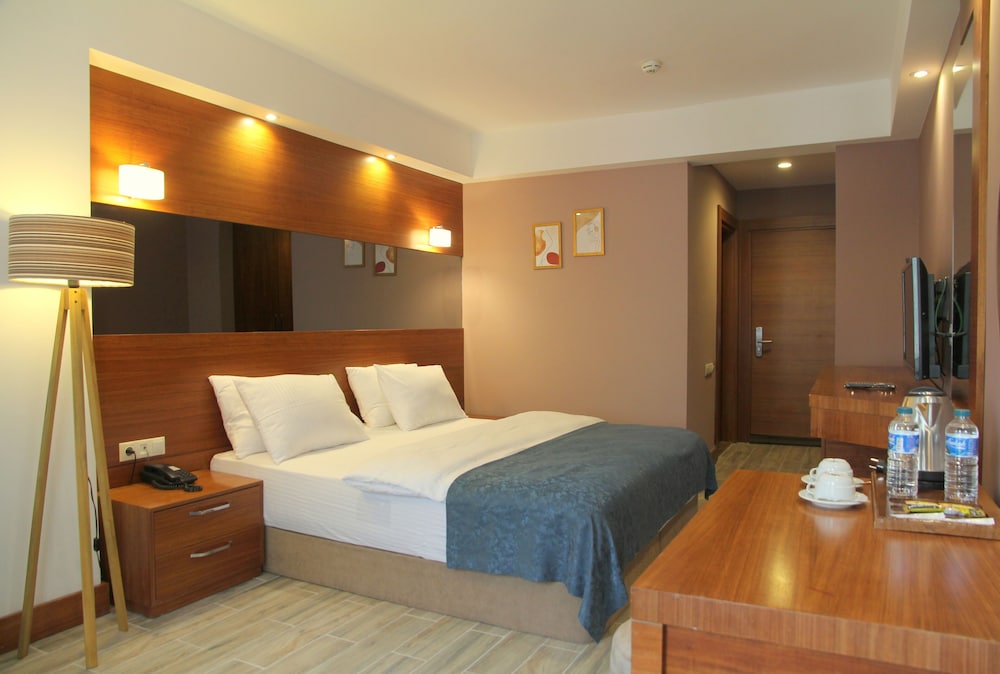 Double or Twin Room, Mountain View photo 2