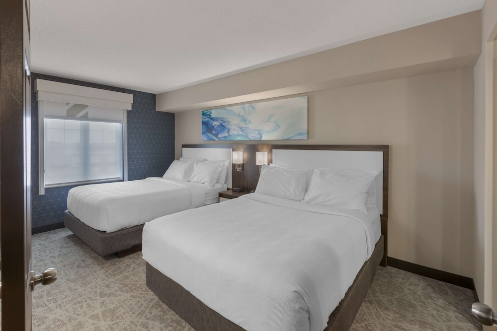 Suite, Multiple Beds, Non Smoking, Kitchen (Shower Only;With Sofabed) - Photo 8