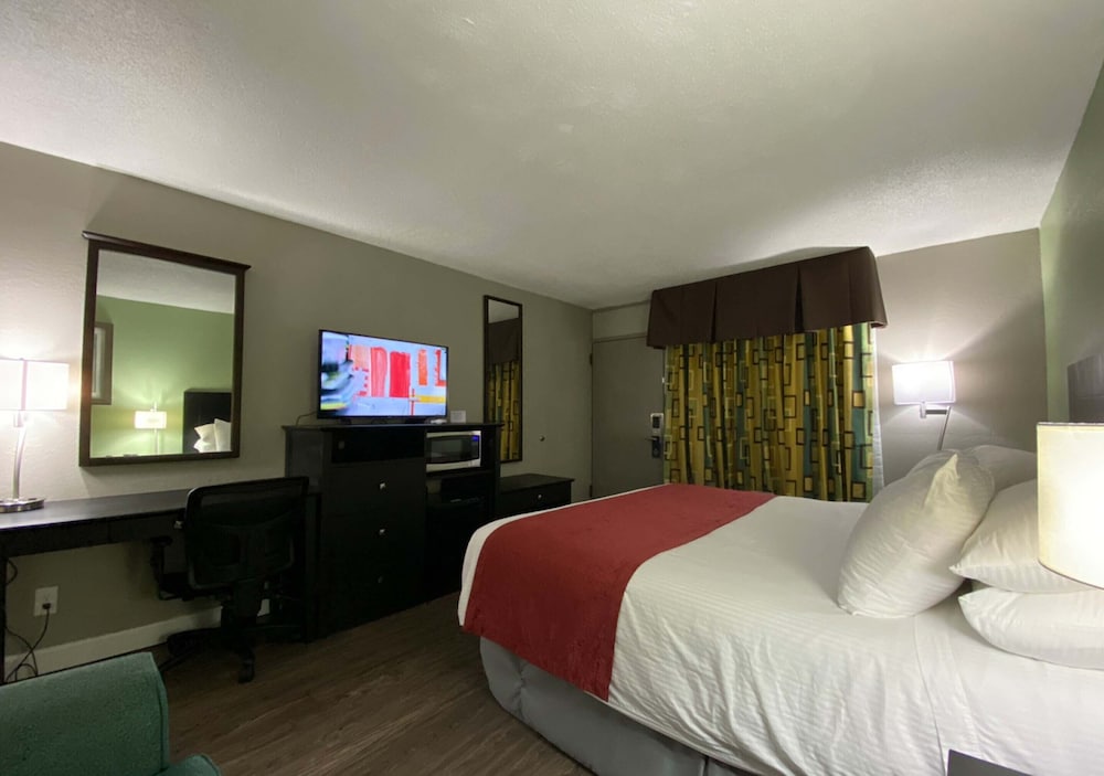 Standard Single Room - Photo 22