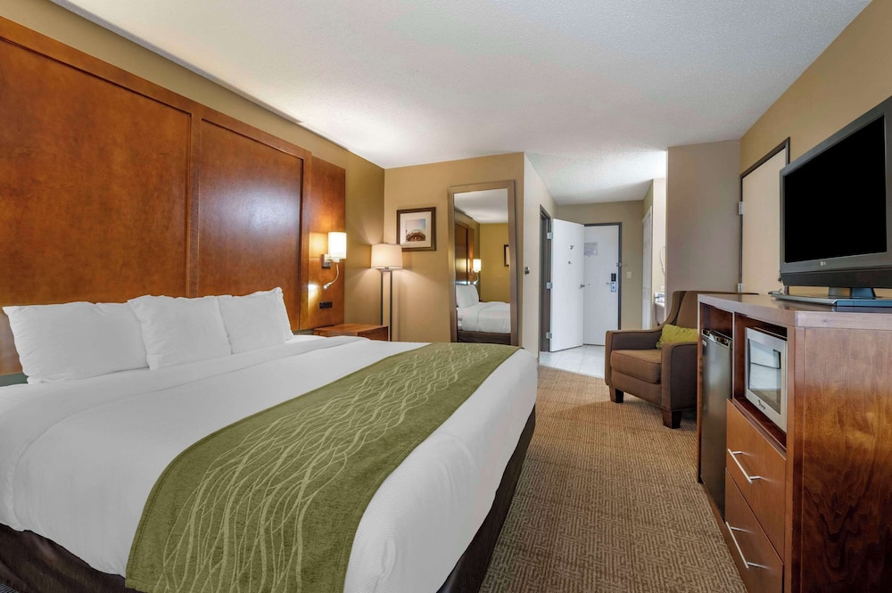 Room, 1 King Bed, Non Smoking - Photo 3