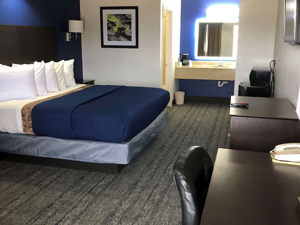 Suite, 1 King Bed photo 3