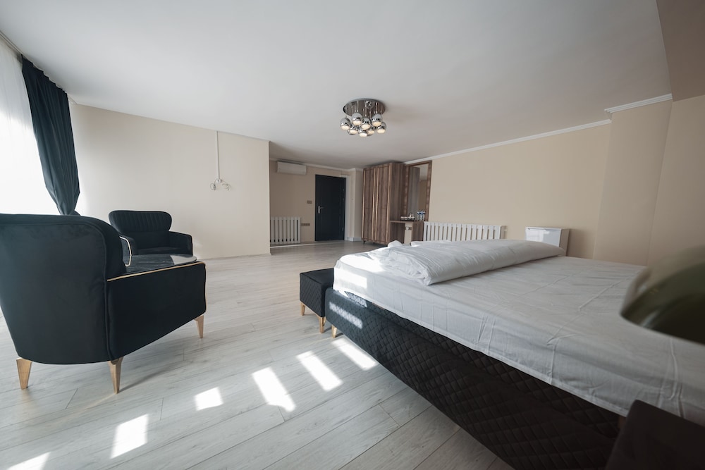 Deluxe Double Room, 1 King Bed, Refrigerator photo 3