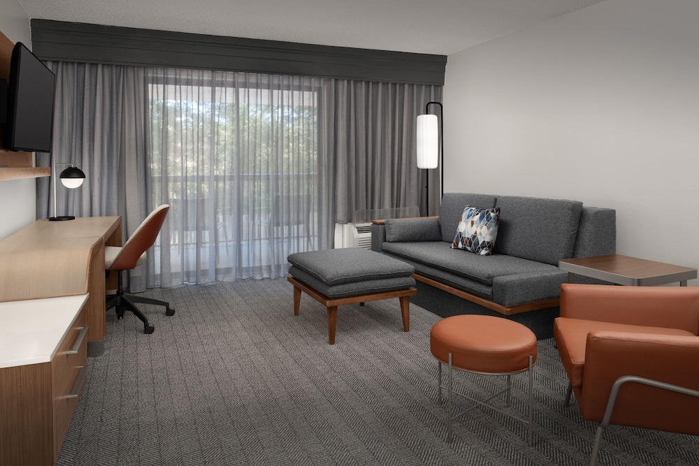 Suite, 1 King Bed with Sofa bed