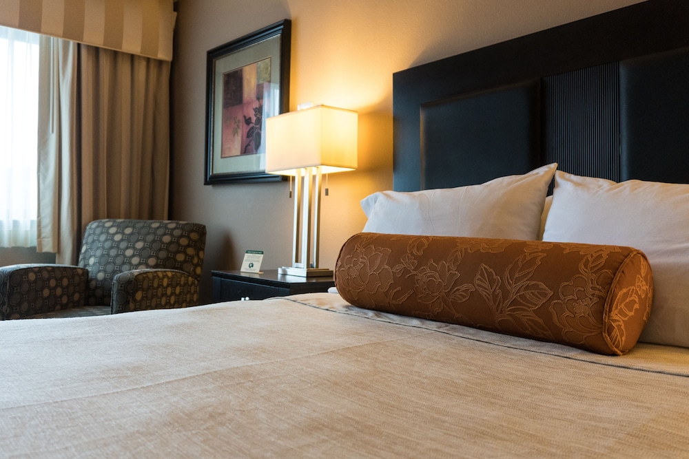 Room, 1 Queen Bed, Accessible photo 3