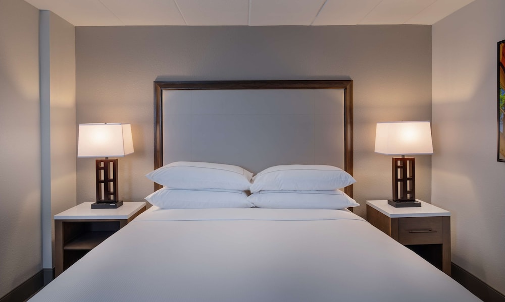 Studio, 1 King Bed, Accessible, Bathtub (Mobility & Hearing) photo 1