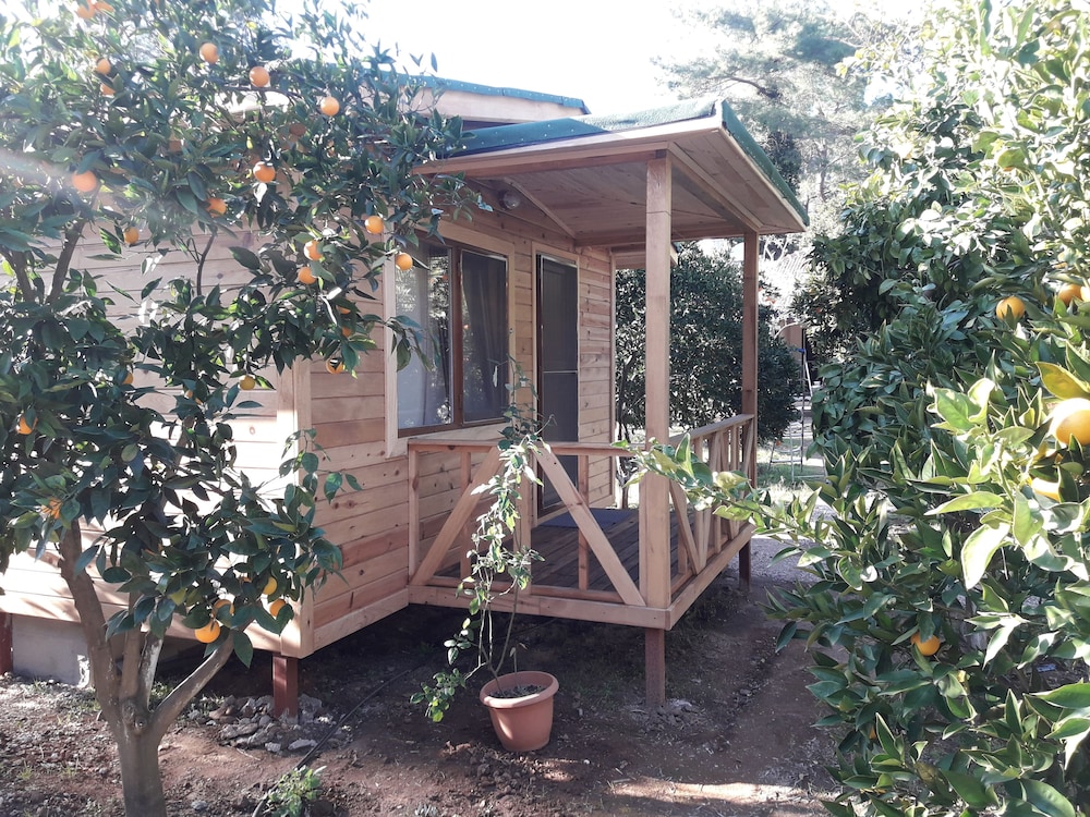 Double Room, 1 Queen Bed, Non Smoking, Garden View photo 2