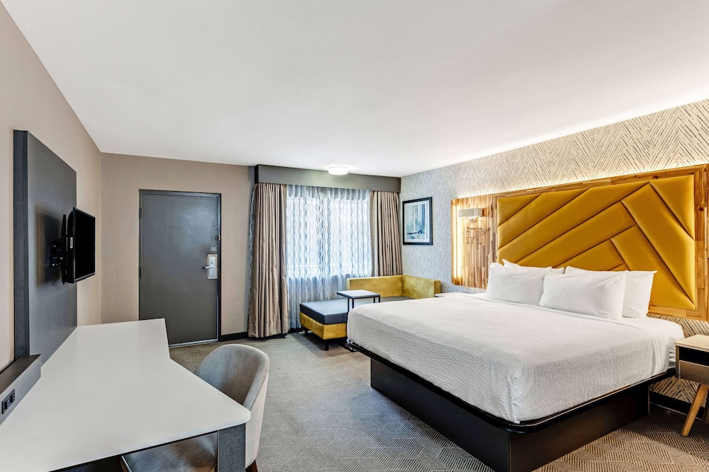 Room, 1 King Bed, Accessible, Non Smoking (Mobility, Roll-In Shower) - Photo 6