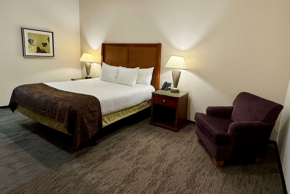 Standard Room, 1 King Bed, Non Smoking - Photo 1