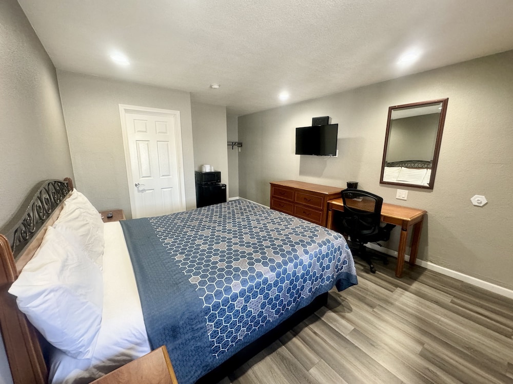Single Room, 1 King Bed, Non Smoking photo 3